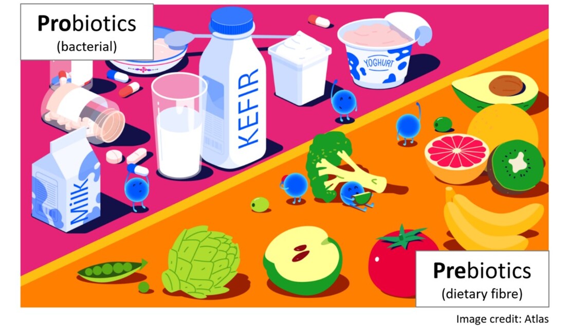 Diary & Veg